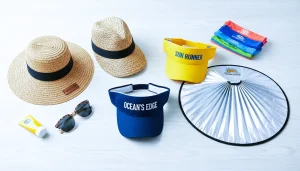 best car sun visor products