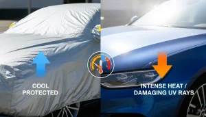 UV Protection, Sun Damage Prevention, Car Care