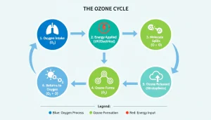 how ozone generators work step by step, ozone generation process